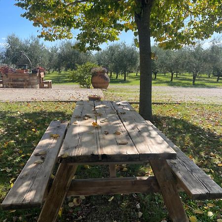 Le Ghiande Konuk evi Spello Dış mekan fotoğraf