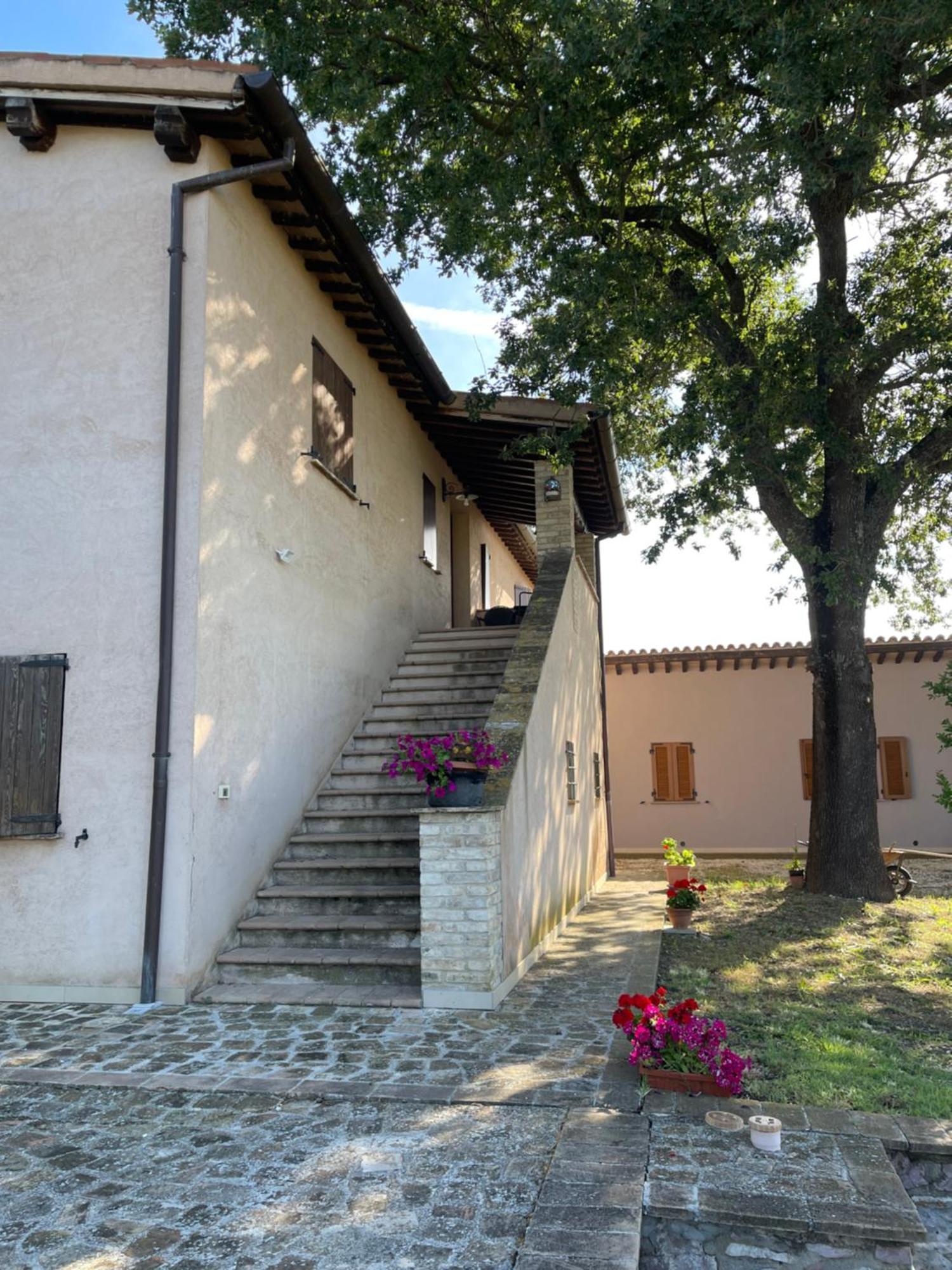 Le Ghiande Konuk evi Spello Dış mekan fotoğraf