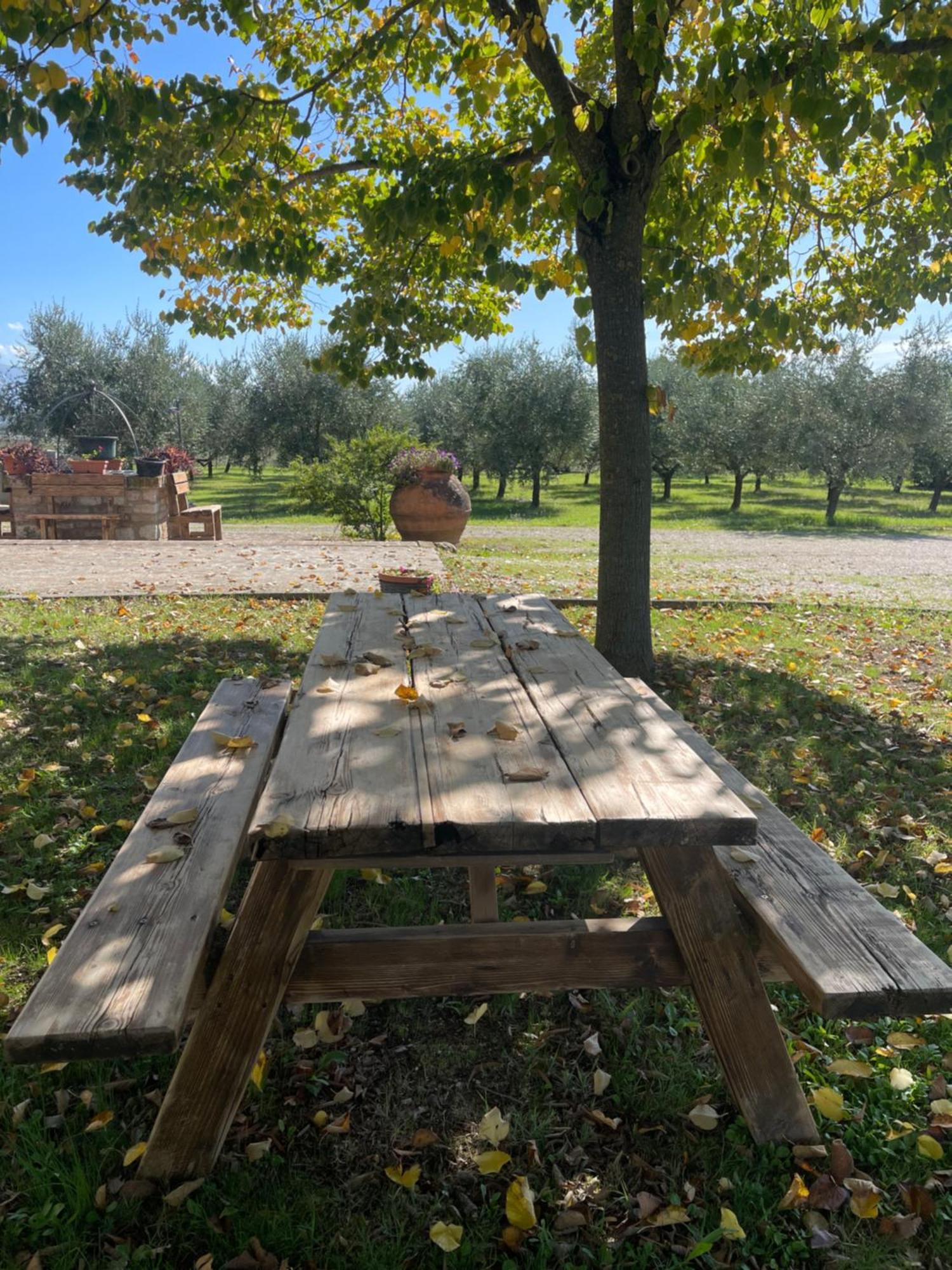 Le Ghiande Konuk evi Spello Dış mekan fotoğraf