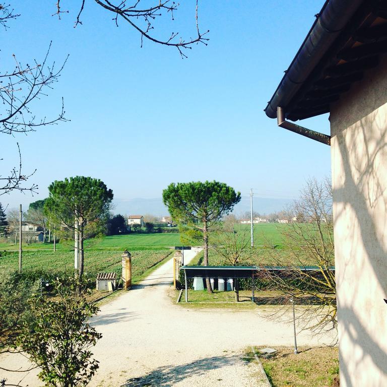 Le Ghiande Konuk evi Spello Dış mekan fotoğraf