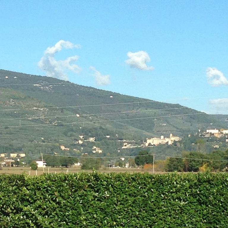 Le Ghiande Konuk evi Spello Dış mekan fotoğraf