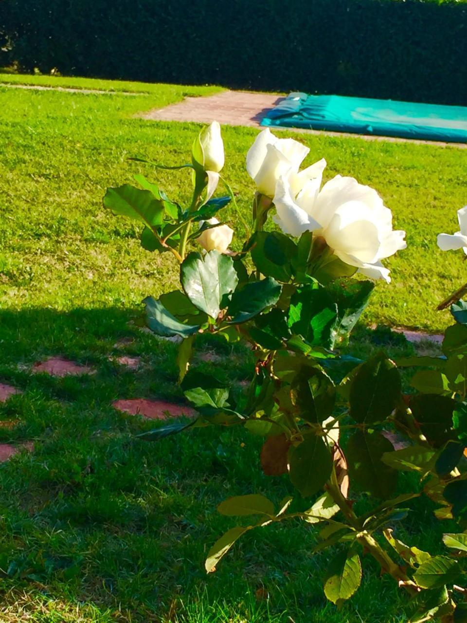 Le Ghiande Konuk evi Spello Dış mekan fotoğraf