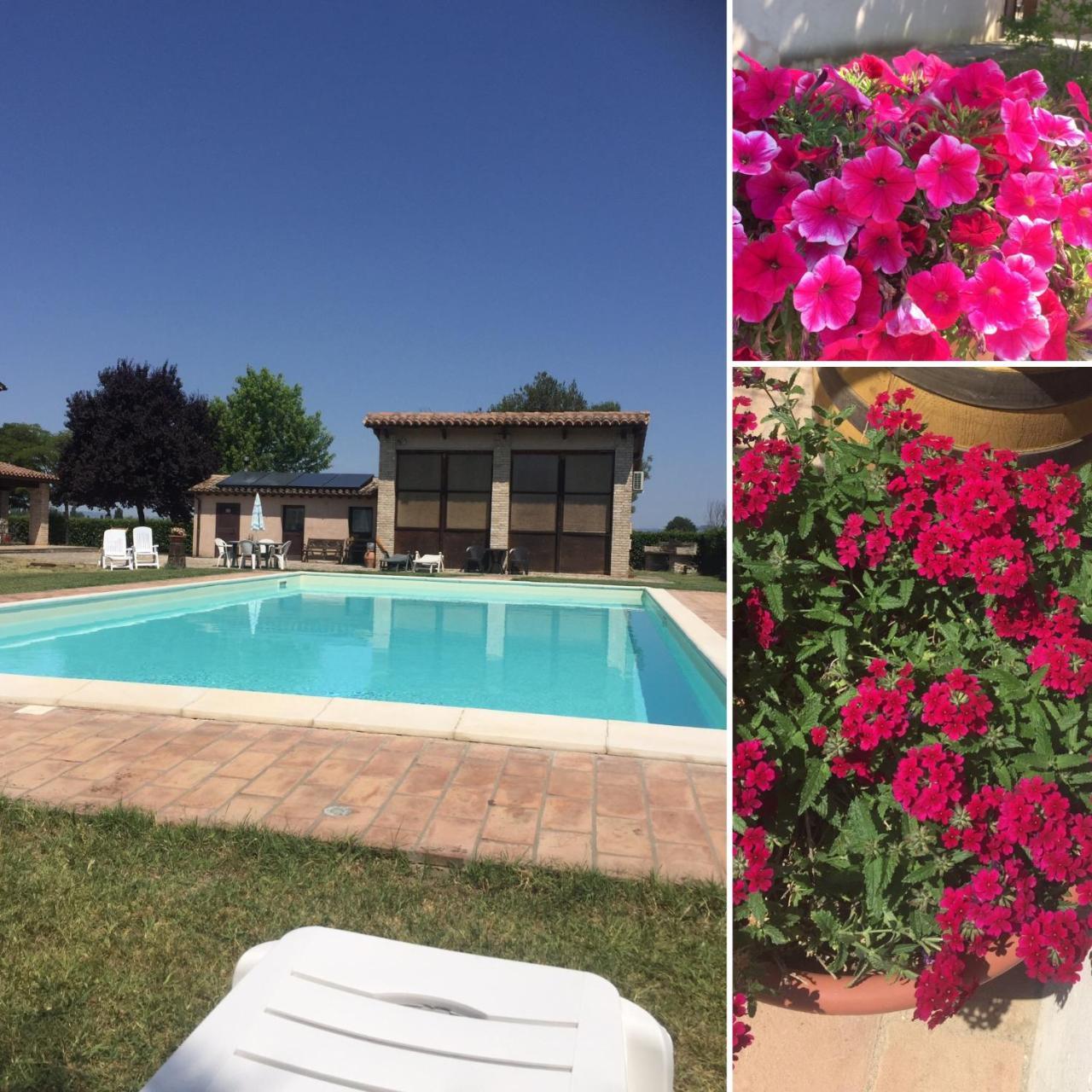 Le Ghiande Konuk evi Spello Dış mekan fotoğraf