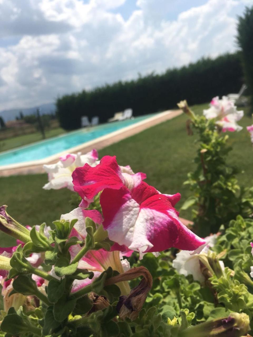 Le Ghiande Konuk evi Spello Dış mekan fotoğraf